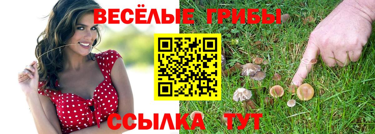 Псилоцибиновые грибы Magic Shrooms  Вход с VPN  Лабинск  Галлюциногенные грибы MAGIC MUSHROOMS 